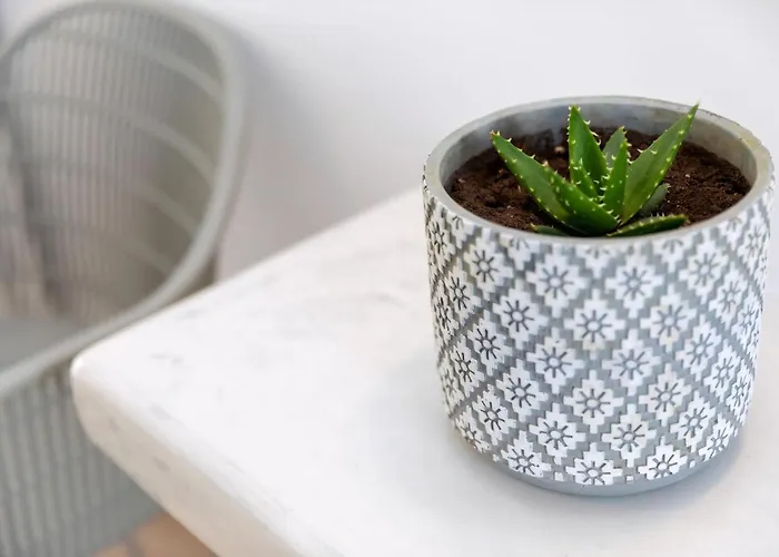 Junior For 4 Dpan Saint George Naxos Villa